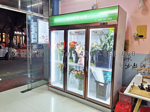 鲜花保鲜冷柜价格.jpg